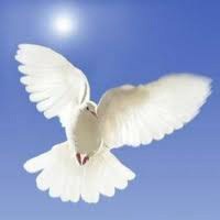 Obituary of Mark McDaniel