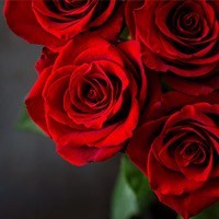 Obituary of Linda E. Taylor