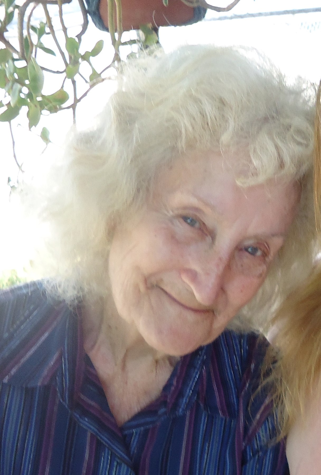 Julia Van Winkle Obituary Stockton Ca