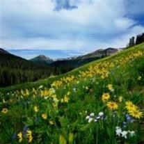 Obituary of Floyd R Gray