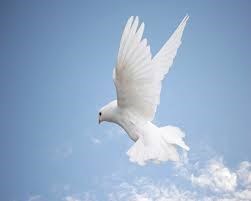 Obituary of Matthew David Mitchell