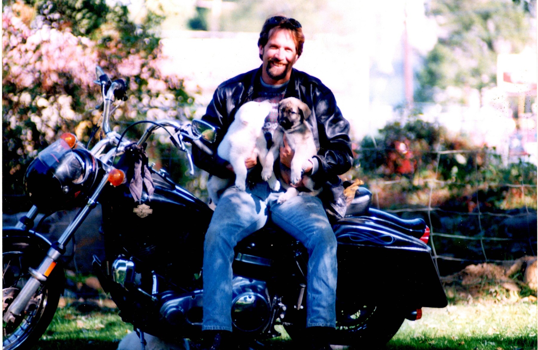 Obituario de Steve Risley