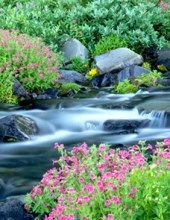 Obituary of Hershal Vaughn Wade