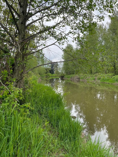 Obituary of Neil James Ernest Murrin