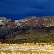 Obituary of Wanda Ray Griffith