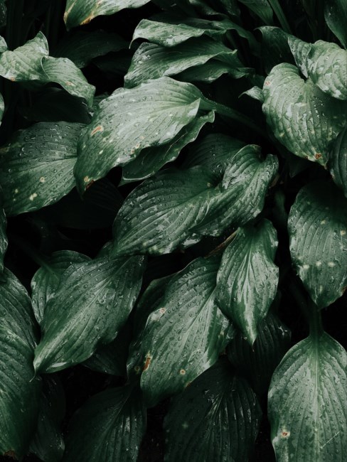 Obituary of James Block