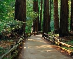 Obituary of Robert Sitton Sr.