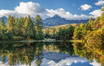 Obituary of Aaron Wayne Freeman