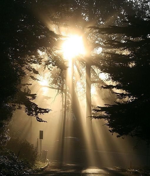 Obituary of Domingo Dimingo