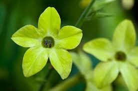 Obituary of Donavon Gerig