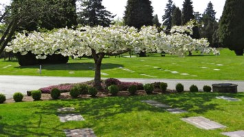 Obituary of Drew Martissa Thompson