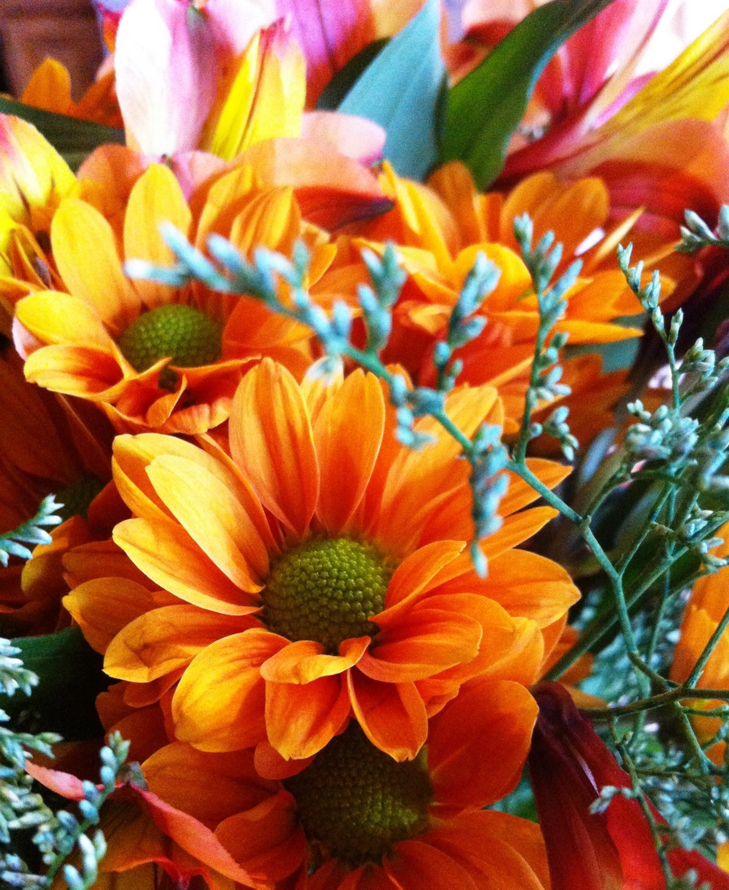 Marlene Rutz Obituary - Fort Wayne, IN