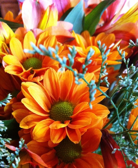 Obituary of Marlene Suzan Bloom Rutz