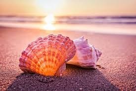 Obituario de Mi Sun Lombardo