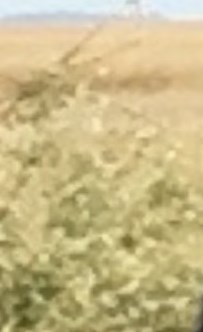 Ryan Comer Obituary Columbia SC ryan-comer-obituary-columbia-sc