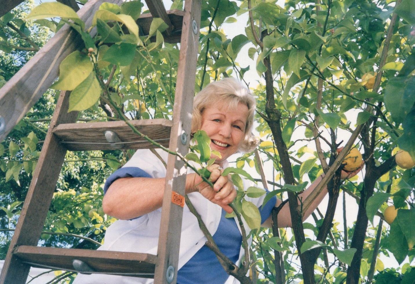 Obituary of Shirley M Hunt