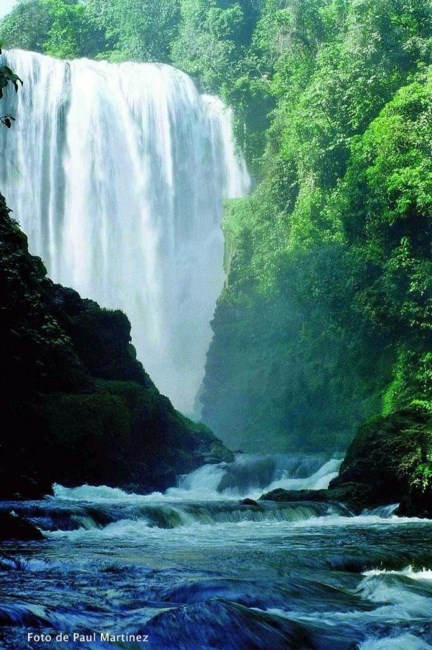 Obituary of Trevor Jay Carroll