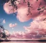 Obituary of Barbara Maxine Edwards