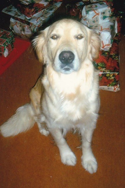 Obituary of Nicholas G. Rubcich