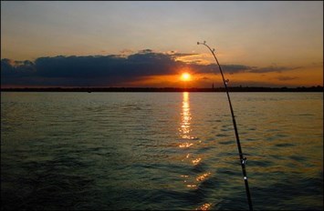 Obituary of Carrie Elizabeth Barnes