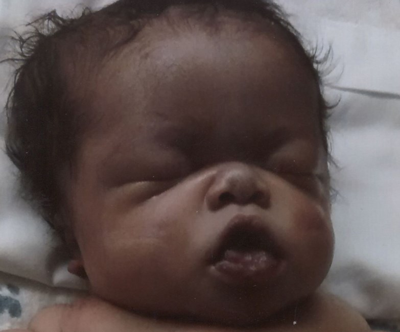 Obituary of Donavon L. Willams