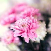 Obituary of Sylvia Maria Acuna