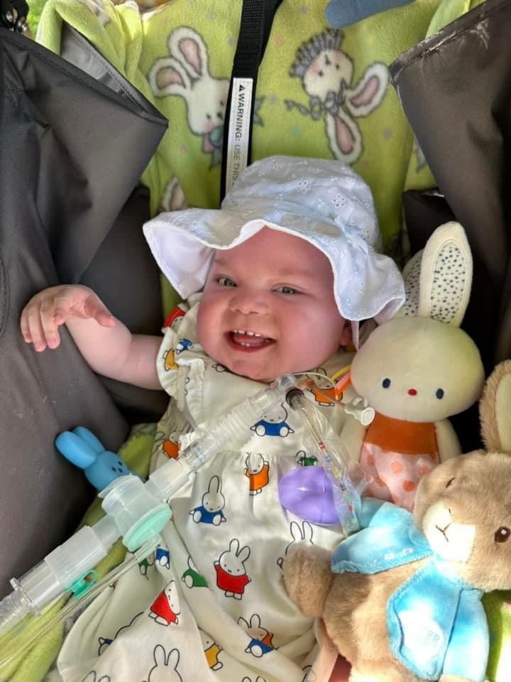 Obituary of Quinn Terry Windes