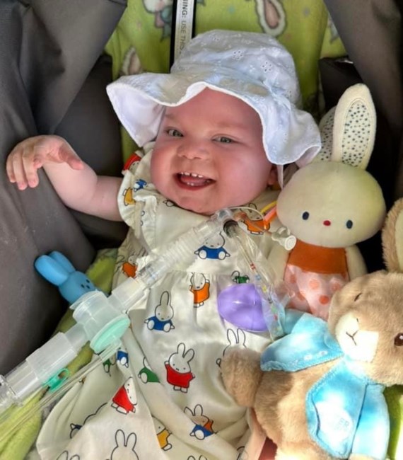 Obituary of Quinn Terry Windes