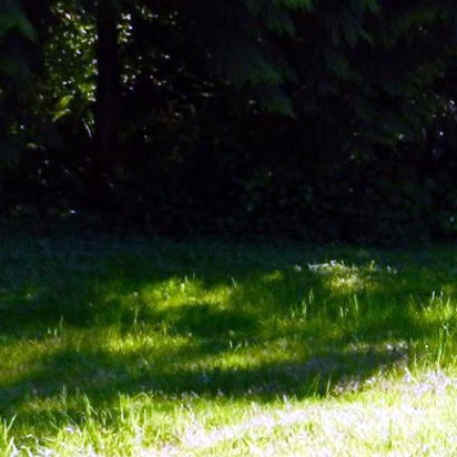 Jerry Raney Obituary - Wheat Ridge, CO