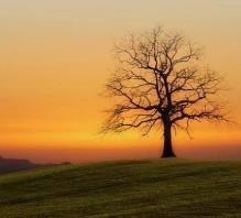 Obituary of Benny Charles Vann