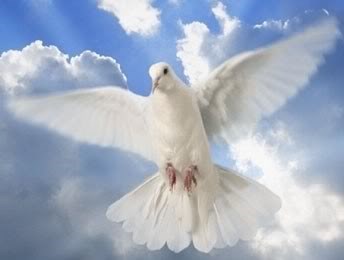 Obituary of Juan Antonio Peraza