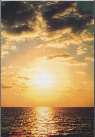 Obituary of Rosa Ines Trinidad