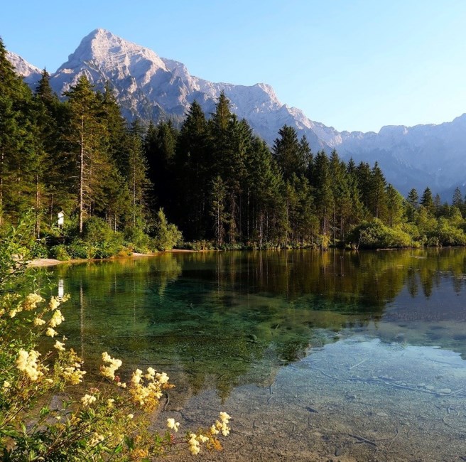 Obituary of Larry Keith Larson