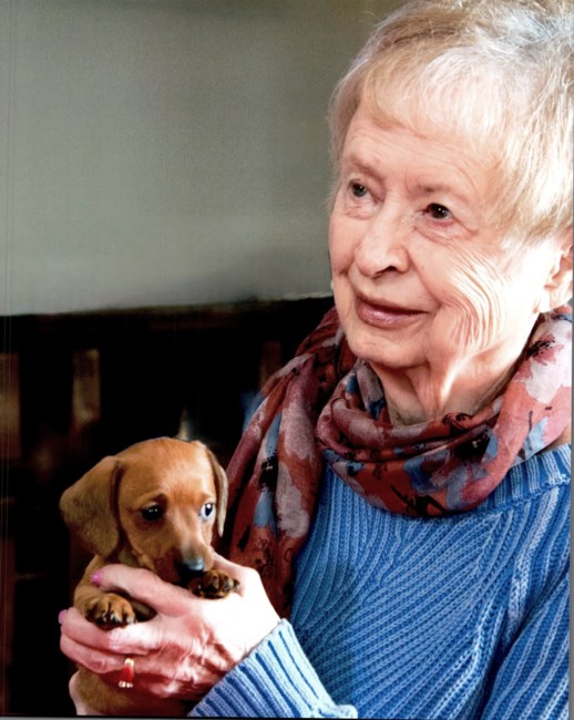 Obituary of Shirley Louise Hanford Allchin