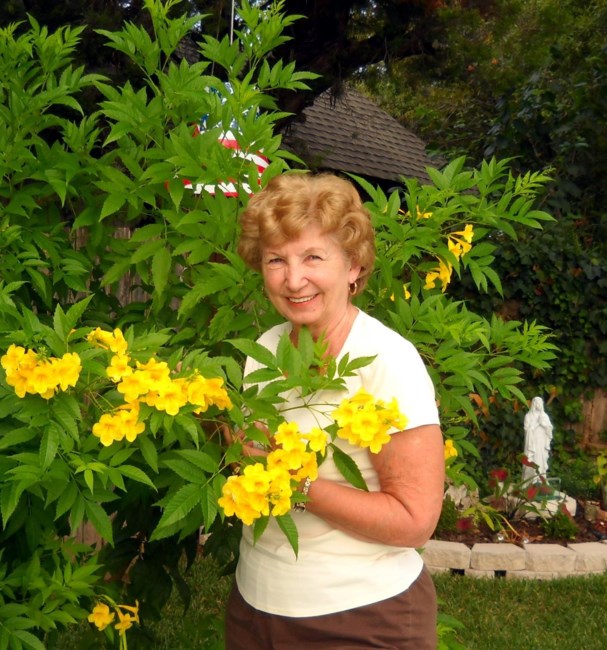 Obituary of Arlene Penberg