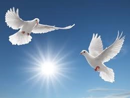 Obituary of Paul H Parke