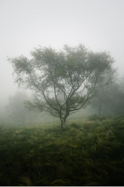 Obituary of Teodulfo Sanchez Lopez