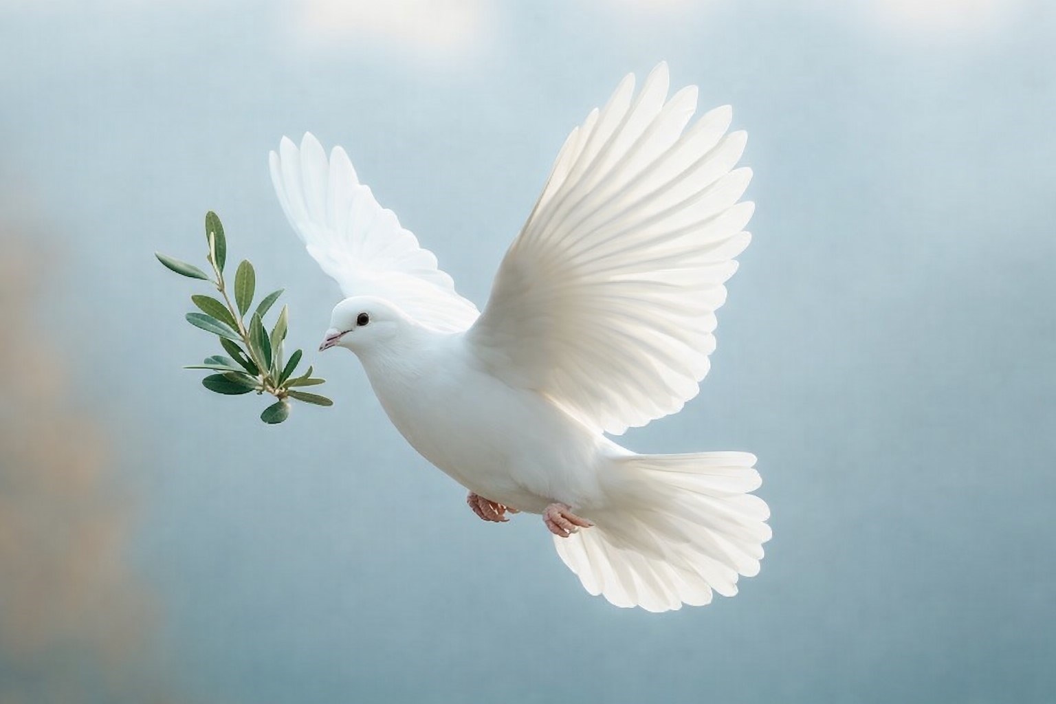 Obituary of Iris Esparza