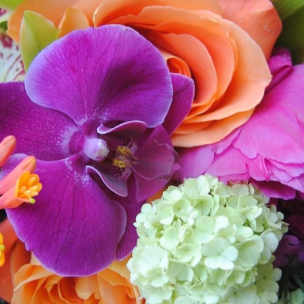 Obituario de Mia Isabel Ramires Torres