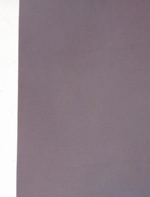 Dora Vargas Obituary - Houston, TX