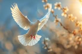 Obituary of Dolly Jane Maniglia