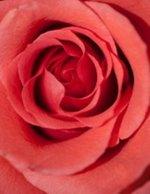 Obituary of Lola Mae Lee