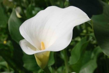 Obituary of Melinda Gayle Anderson