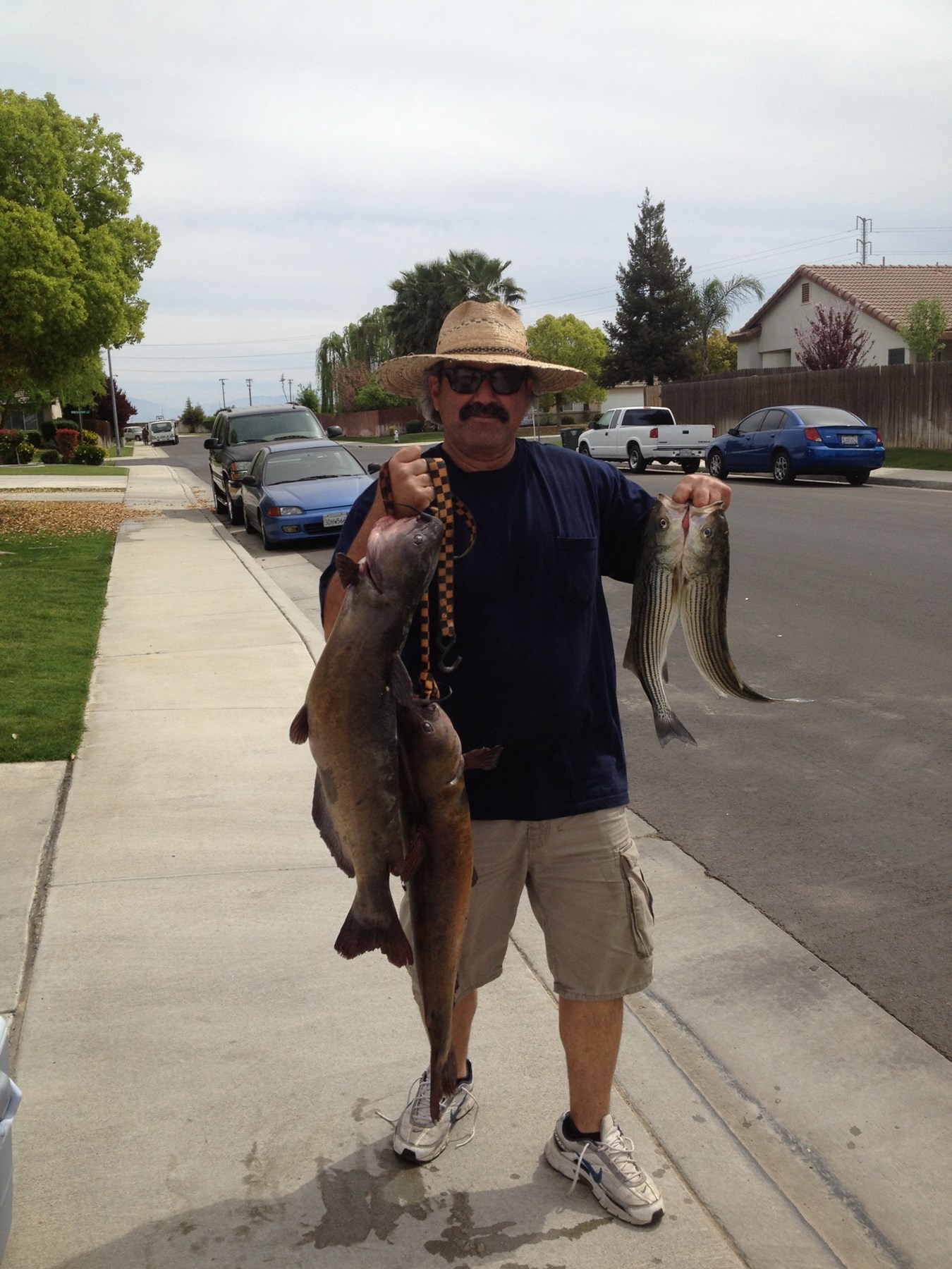 Obituary of Carlos Benavidez