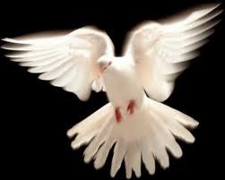 Obituary of Margaret Shaw Busby