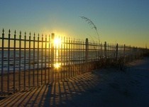 Obituary of Norma Alice Wallis