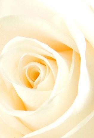 Zena Williams Obituary Indianapolis, IN