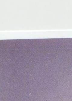 Mary Riddle Obituary - Mobile, AL