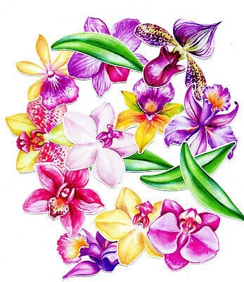 Obituary of Maria Felix Trujillo