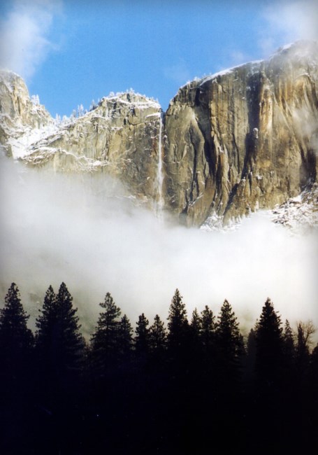 Obituary of Anthony Carl Fowler Sr.